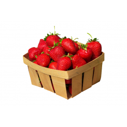 Fraise CLAPON