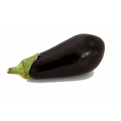 Aubergine SANCHETTE